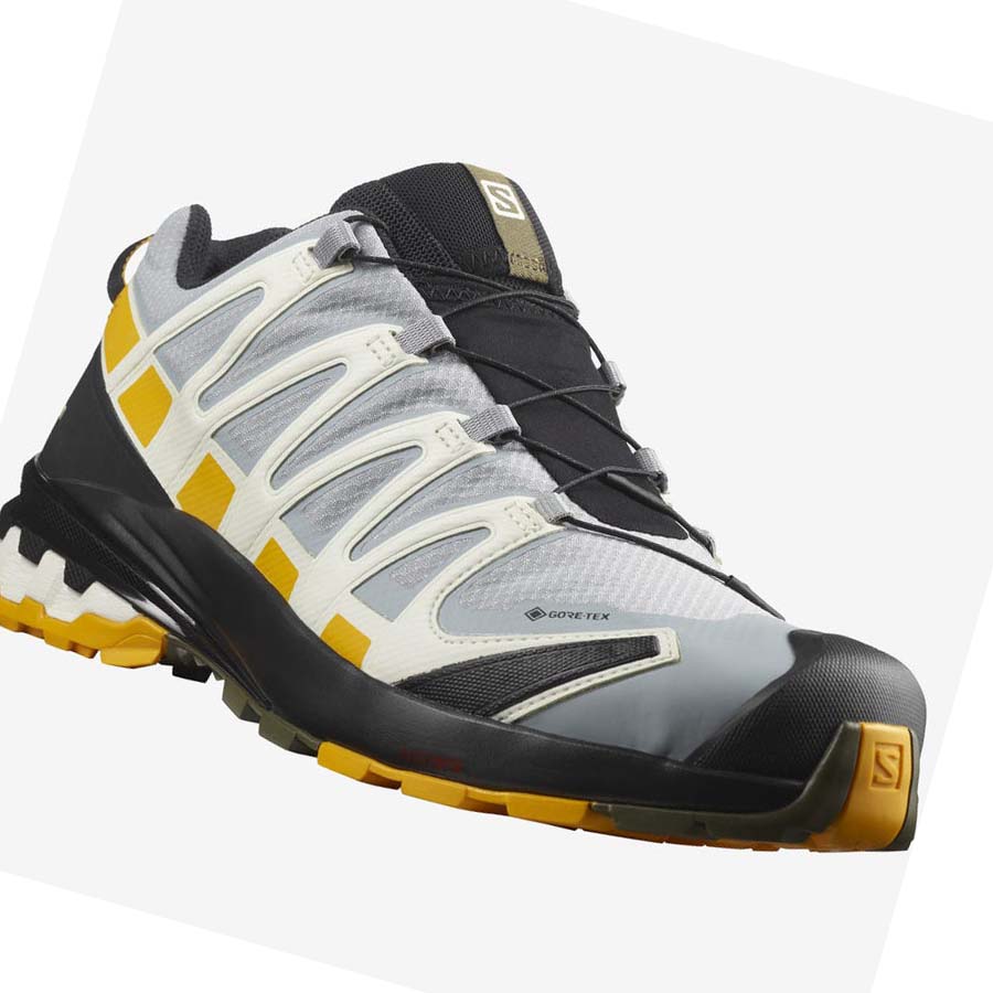 Salomon XA PRO 3D v8 GORE-TEX Trail Futócipő Férfi Fekete Szürke | HU 2119PJJ